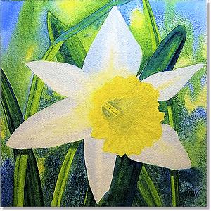 Daffodil