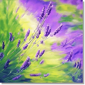 Lavender Fields