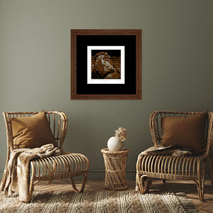 Otter Love - Print