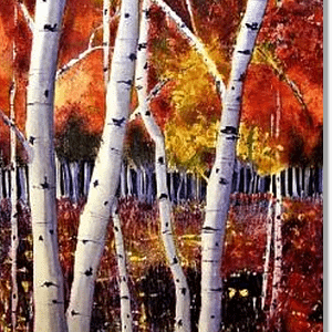 Red Woods