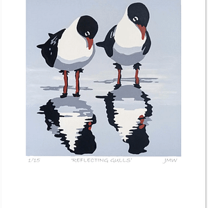 'Reflecting Gulls - print