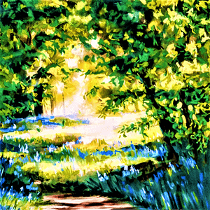 Sunlit Glade