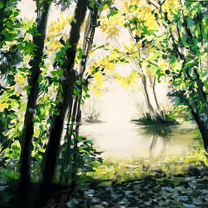 River in the Woods