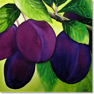 Plums -sold