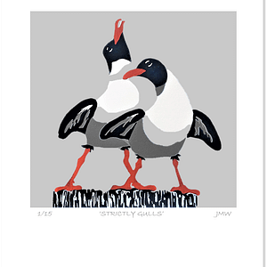'Strictly Gulls' - print only